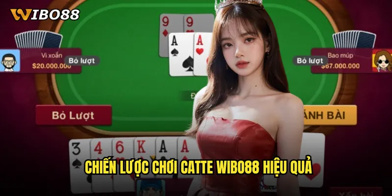 Chiến lược chơi Catte WIBO88 hiệu quả